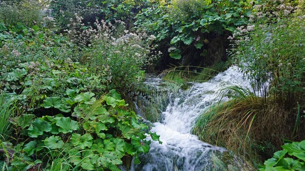 stock image amazing landscape at the plitvice lakes in croatia