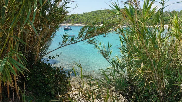 Small harbor of palmizana on hvar island — Stock Photo, Image