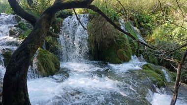 plitvice gölleri, Hırvatistan, muhteşem manzara