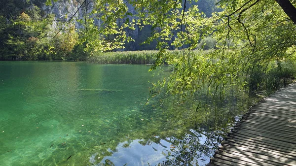 Csodálatos táj, a Plitvicei-tavak, Horvátország — Stock Fotó
