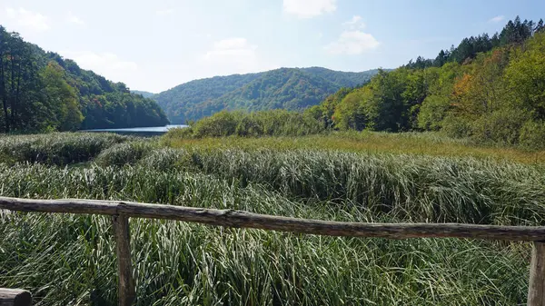 Дивовижний краєвид на Плітвицьких озер в Хорватії — стокове фото