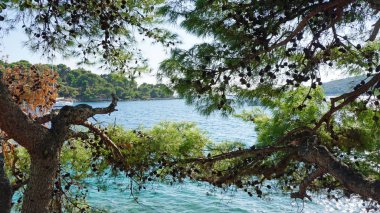 ada trogir Hırvatistan Akdeniz deniz