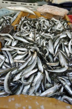 taze balık Balık pazarı Split