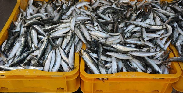 Frischer Fisch vom Fischmarkt in Teilung — Stockfoto