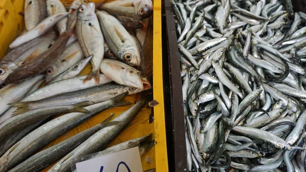 taze balık Balık pazarı Split