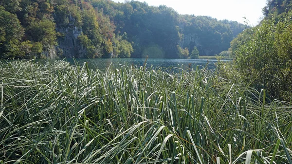 クロアチアのプリトヴィツェ湖の素晴らしい風景 — ストック写真