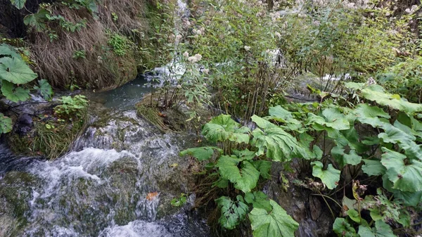 Verbazingwekkende landschap aan de Plitvicemeren in Kroatië — Stockfoto