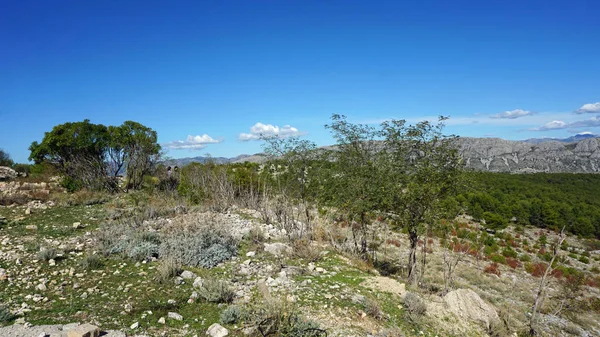 Mountain view v oblasti Dubrovníku v Chorvatsku — Stock fotografie