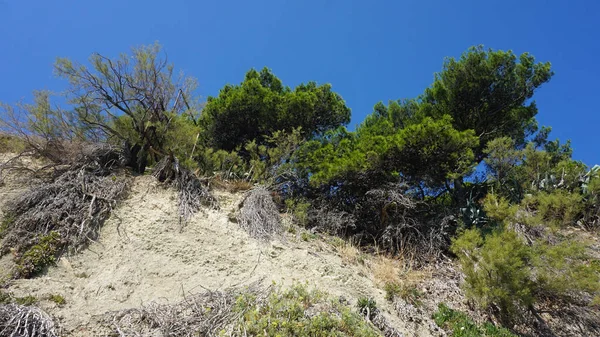 Paseo marítimo en split en croacia — Foto de Stock