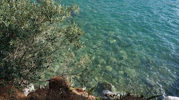 Niesamowite naturalna plaża w chorwacki miasto Dubrownik — Zdjęcie stockowe