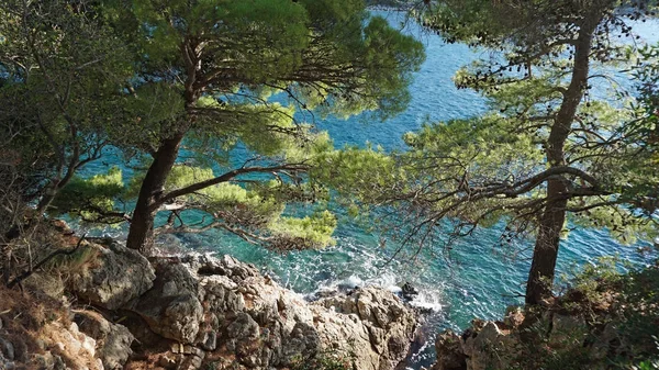 Verbazingwekkende natuurlijke strand in Kroatische stad dubrovnik — Stockfoto
