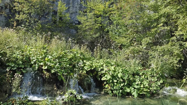 Wunderschöne Landschaft an den Plitvicer Seen in Kroatien — Stockfoto