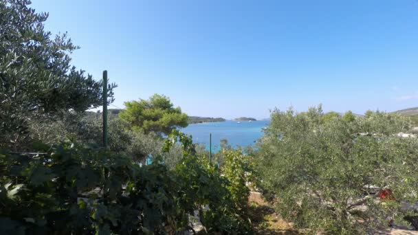 Trogir Insel in Kroatien — Stockvideo