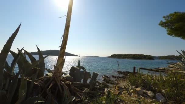 Ilha de trogir na croácia — Vídeo de Stock
