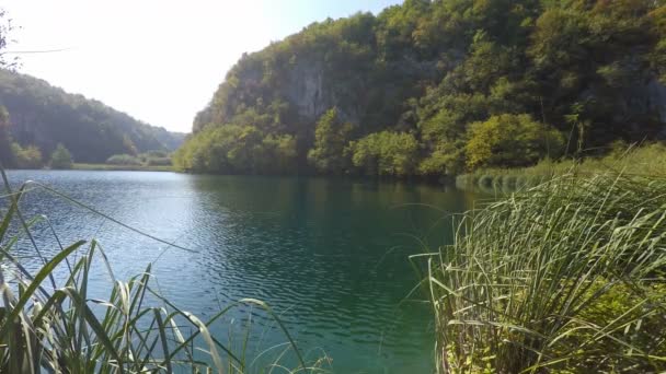 Cascada en Plitvice — Vídeo de stock