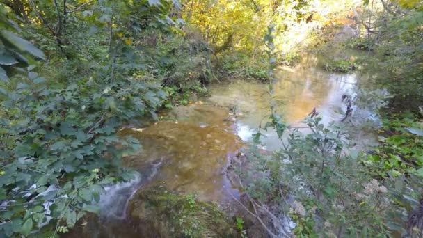 Waterfall in plitvice — Stock Video