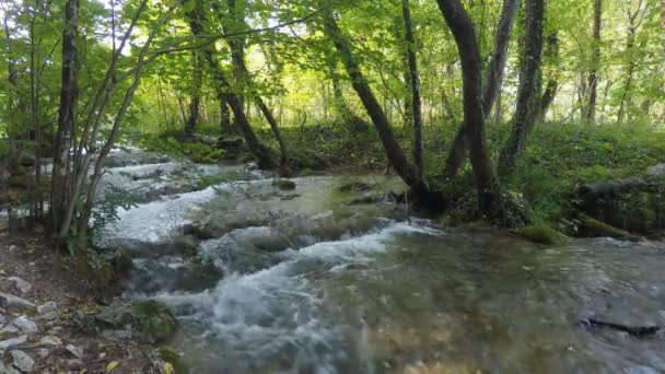 Cascada en los lagos de Plitvice — Vídeo de stock