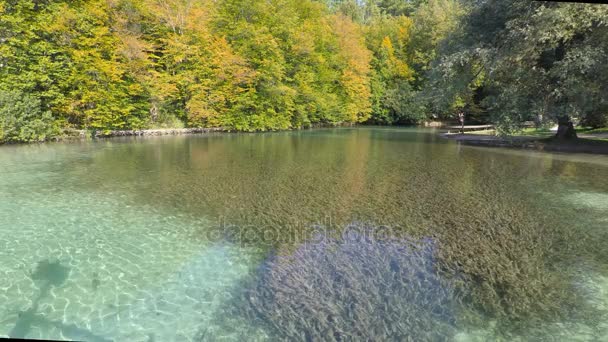 Плітвіцькі озера в Хорватії — стокове відео