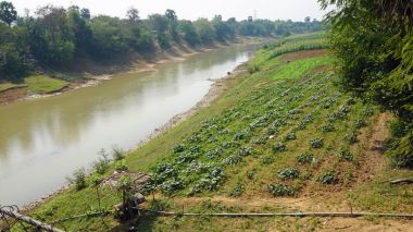 tonle sap, tarım arazileri