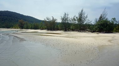 Koh rong samloem beach