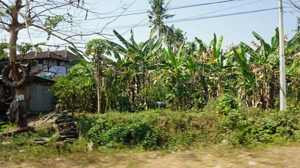 Araund: battambang Köyü — Stok fotoğraf