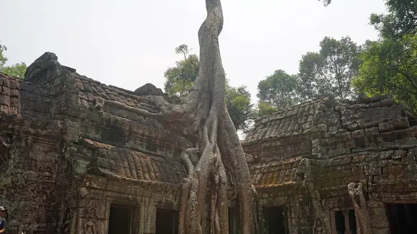 Ankor wat temple complex — Stock Photo, Image