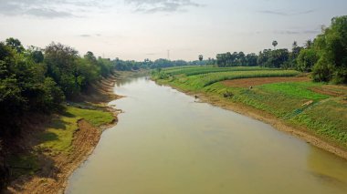 tonle sap, tarım arazileri