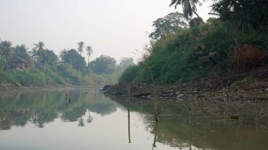 vahşi tonle sap