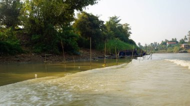 vahşi tonle sap