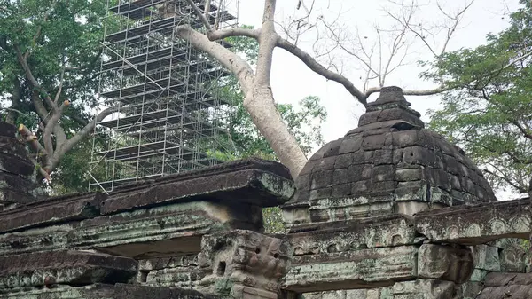 Complexul templului ankor wat — Fotografie, imagine de stoc