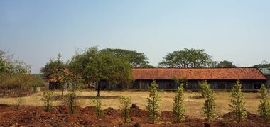 Battambang bambu tren