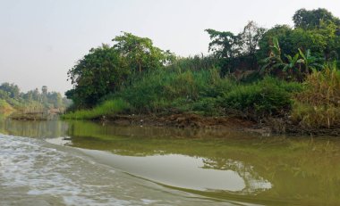 vahşi tonle sap