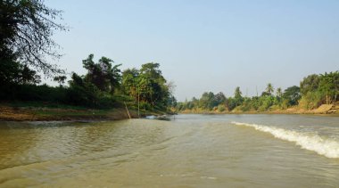 vahşi tonle sap
