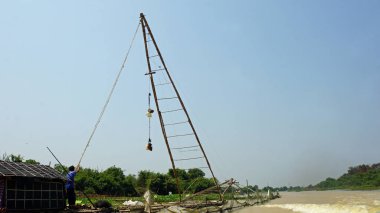 tonle sap karides çiftlikleri