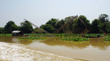 tonle sap karides çiftlikleri