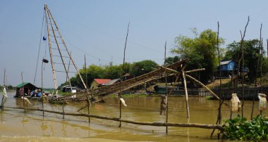 tonle sap karides çiftlikleri
