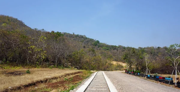 Battambang bambu tren — Stok fotoğraf