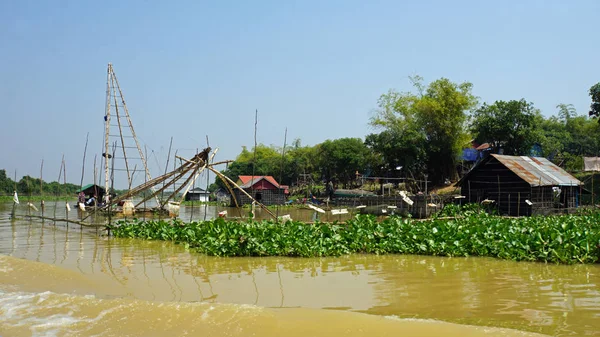 Tonle savia camarones granjas —  Fotos de Stock