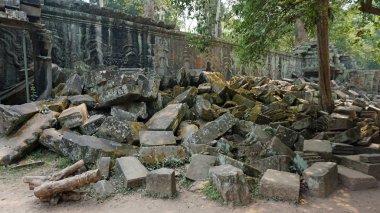 ankor wat Tapınağı karmaşık