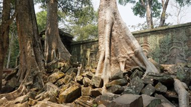 ankor wat Tapınağı karmaşık