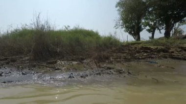 Kamboçya'da tonle sap Nehri