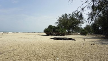 Renk kumsalında çürük balıkçı tekneleri