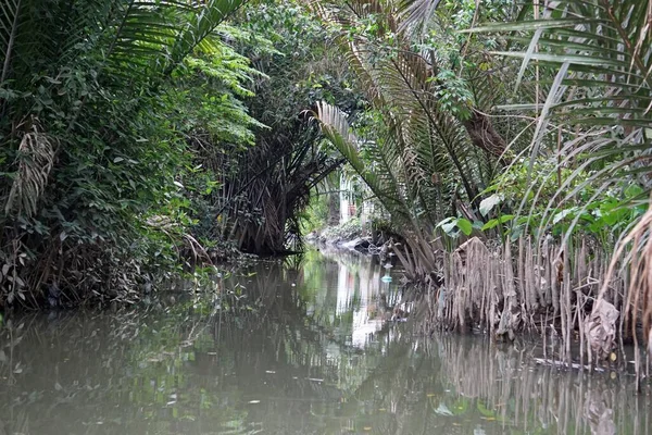 Vietnam 'da Mekong deltası yakınlarındaki tarımsal kırsal alan.