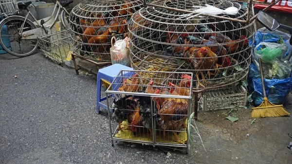 Cena Mercado Rua Hanoi Vietnam — Fotografia de Stock