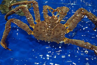 Vietnam 'da Danang' da bir restoranda taze lezzetli deniz ürünleri.