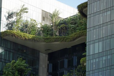 Singapur şehir merkezindeki büyük yeni ofis binaları.