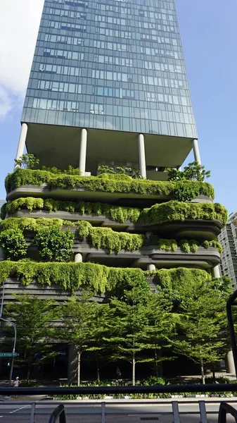 Enormes Nuevos Edificios Oficinas Singapores Centro Ciudad — Foto de Stock