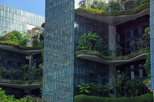 Enorma Nya Kontorsbyggnader Singapores Centrum — Stockfoto