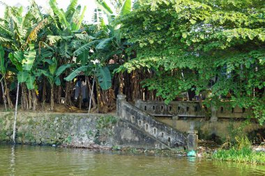 Vietnam 'daki parfüm nehrinin nehir kıyısında.