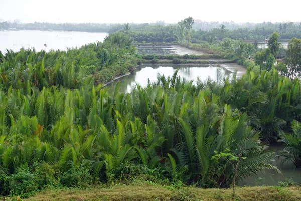 Zielona Przyroda Centrum Wietnamu Jesienią — Zdjęcie stockowe